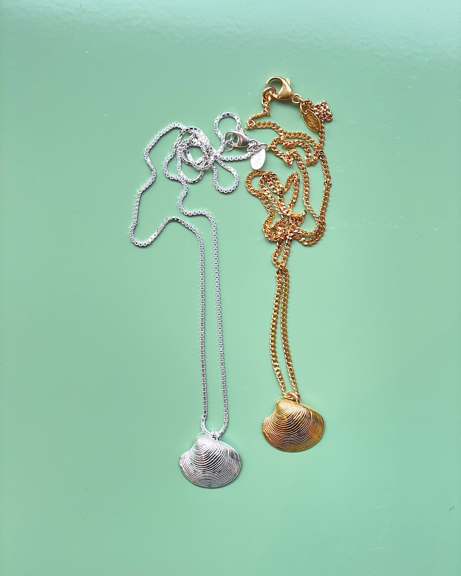 Shel Muschel chaingang