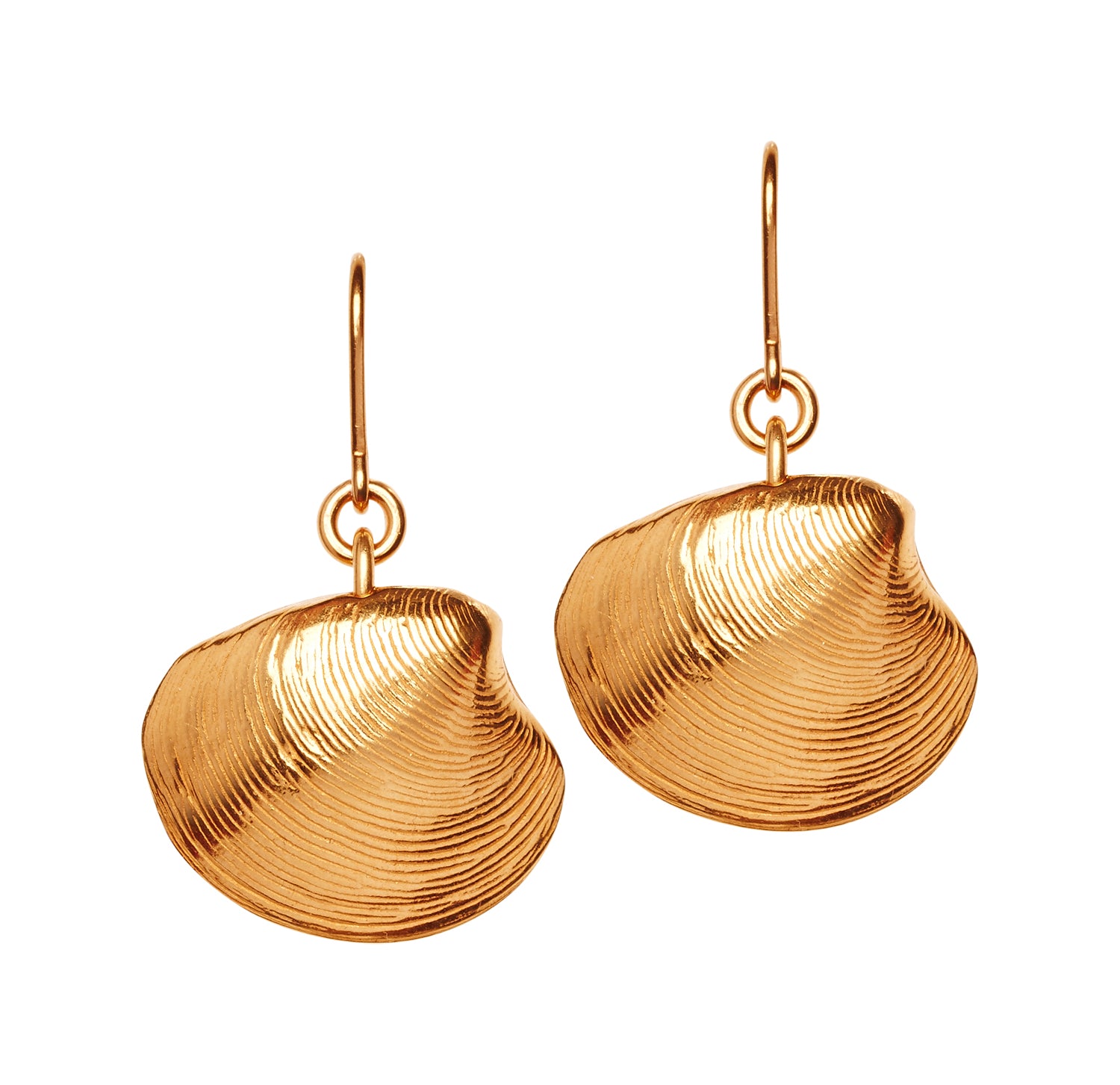 Ohrringe Gold Muschel Anhänger Chaingang